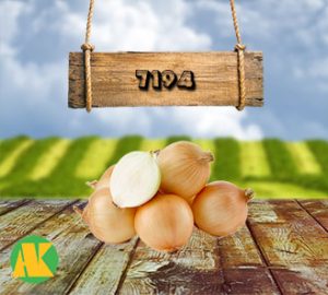 7194-sogan-thmb