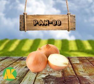 PAN88-sogan-thmb