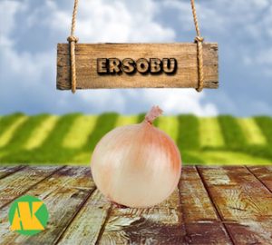 ersobu-sogan-thmb