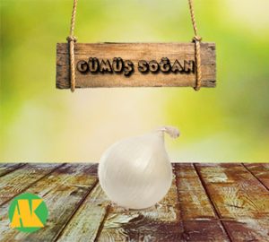 gumus-sogan-thmb