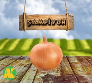 sampiyon-sogan-thmb