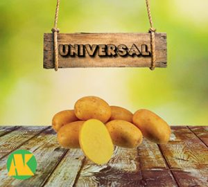 universal_patates_thmb