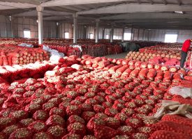 Niğde Kemerhisar Soğan Deposu - Ahmet Alaşkan (7)