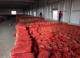 Niğde Kemerhisar Soğan Deposu - Ahmet Alaşkan (8)